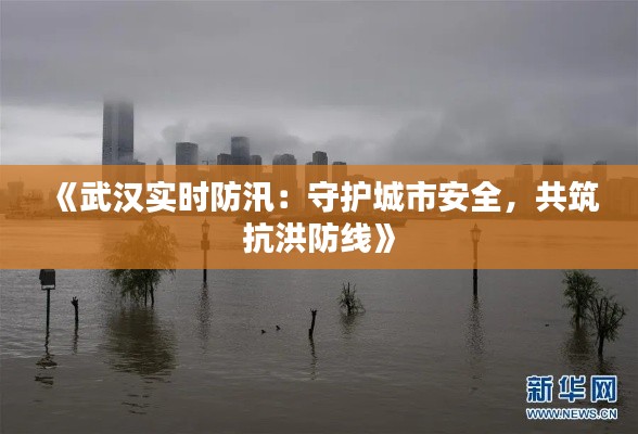 《武汉实时防汛:守护城市安全,共筑抗洪防线》