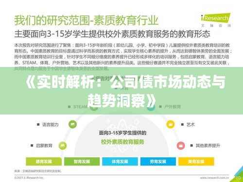 《实时解析:公司债市场动态与趋势洞察》