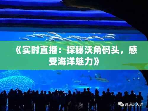 《实时直播:探秘沃角码头,感受海洋魅力》