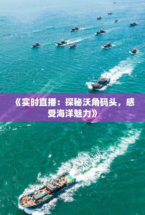 《实时直播:探秘沃角码头,感受海洋魅力》