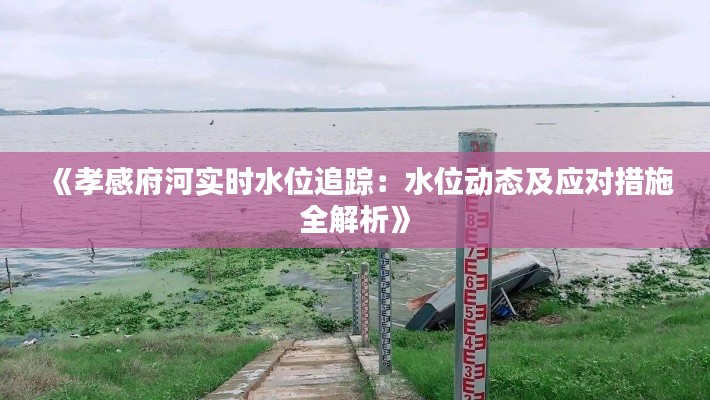《孝感府河实时水位追踪：水位动态及应对措施全解析》