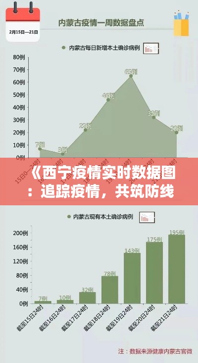 《西宁疫情实时数据图:追踪疫情,共筑防线》