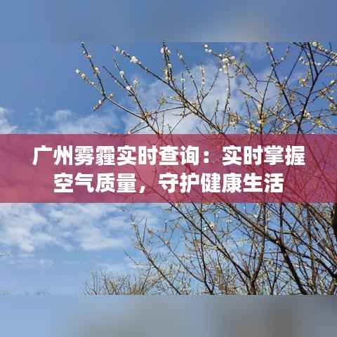 广州雾霾实时查询：实时掌握空气质量，守护健康生活