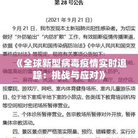 《全球新型病毒疫情实时追踪:挑战与应对》