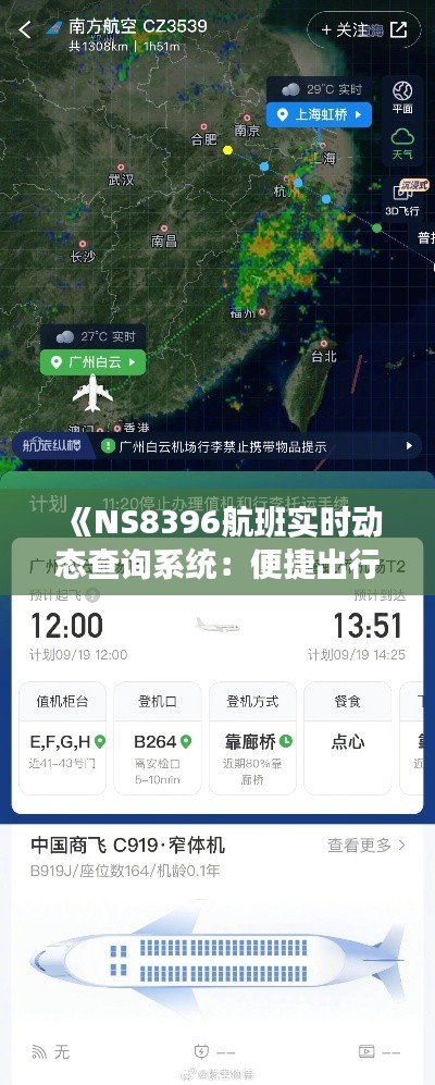 《NS8396航班实时动态查询系统:便捷出行,信息无忧》
