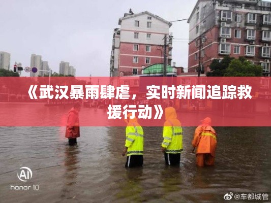 《武汉暴雨肆虐,实时新闻追踪救援行动》