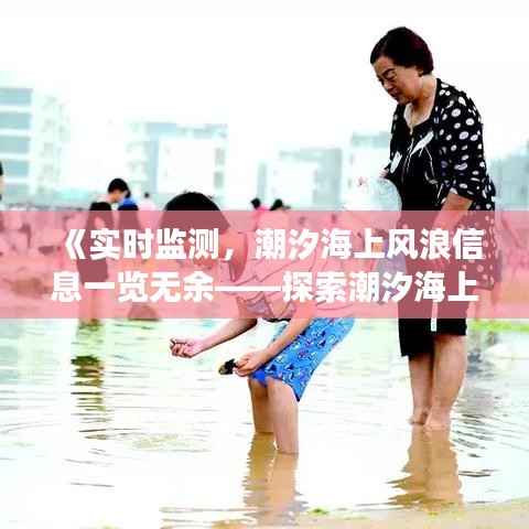 《实时监测,潮汐海上风浪信息一览无余——探索潮汐海上实时风浪页》