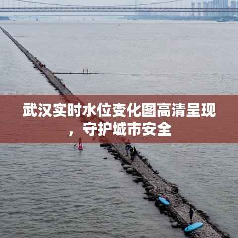 武汉实时水位变化图高清呈现,守护城市安全
