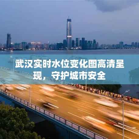 武汉实时水位变化图高清呈现,守护城市安全