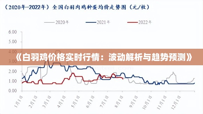 《白羽鸡价格实时行情：波动解析与趋势预测》