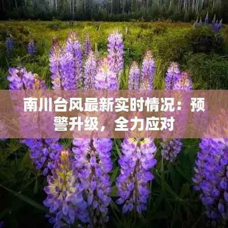 料事如神 第6页