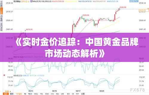 《实时金价追踪：中国黄金品牌市场动态解析》