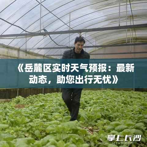 《岳麓区实时天气预报:最新动态,助您出行无忧》