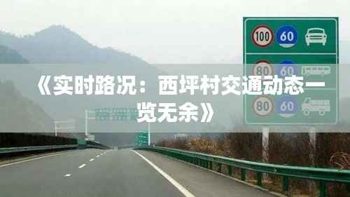 《实时路况:西坪村交通动态一览无余》