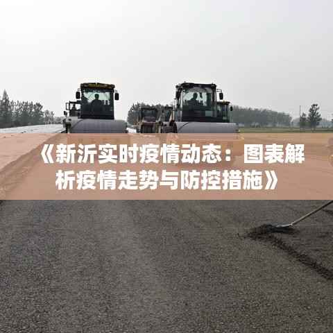 《新沂实时疫情动态:图表解析疫情走势与防控措施》