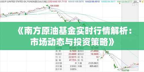 《南方原油基金实时行情解析：市场动态与投资策略》