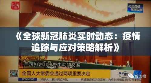 《全球新冠肺炎实时动态:疫情追踪与应对策略解析》