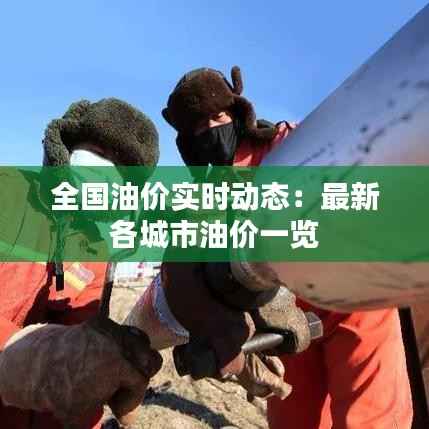 全国油价实时动态:最新各城市油价一览