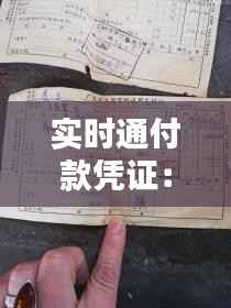 实时通付款凭证:支票的数字化替代品?