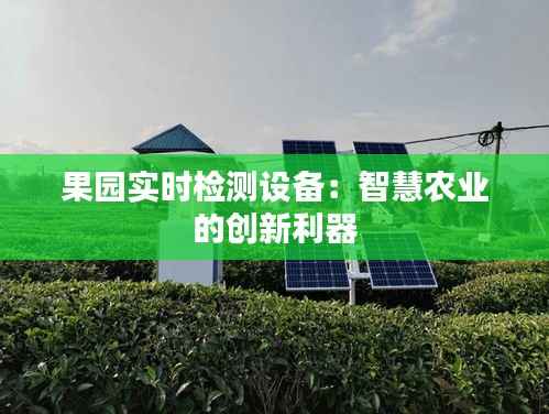 果园实时检测设备：智慧农业的创新利器
