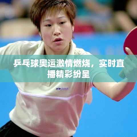 乒乓球奥运激情燃烧,实时直播精彩纷呈