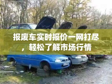 无影无踪 第5页