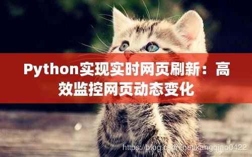 Python实现实时网页刷新:高效监控网页动态变化