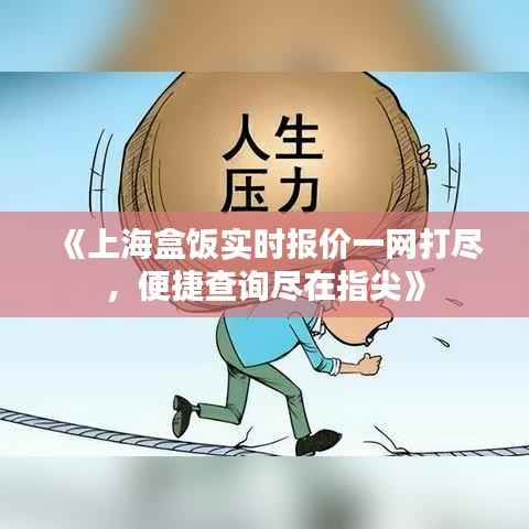 《上海盒饭实时报价一网打尽，便捷查询尽在指尖》