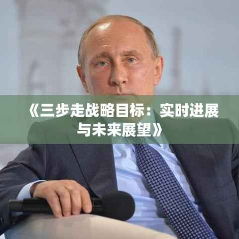 《三步走战略目标:实时进展与未来展望》