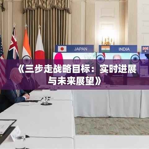 《三步走战略目标:实时进展与未来展望》