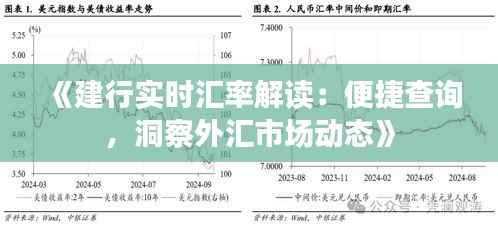 《建行实时汇率解读:便捷查询,洞察外汇市场动态》
