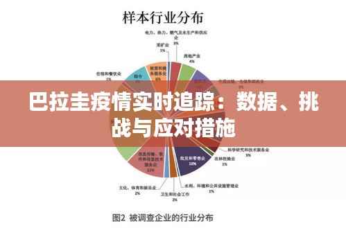 巴拉圭疫情实时追踪:数据、挑战与应对措施