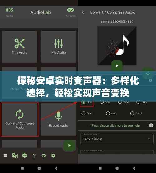 探秘安卓实时变声器:多样化选择,轻松实现声音变换