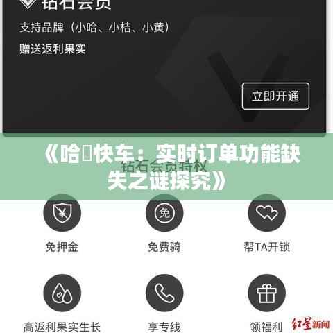 《哈啰快车:实时订单功能缺失之谜探究》