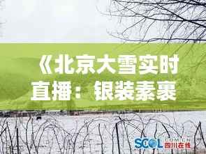 《北京大雪实时直播:银装素裹的古城美景尽收眼底》