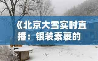 《北京大雪实时直播:银装素裹的古城美景尽收眼底》