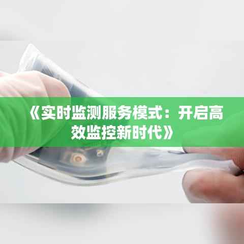 《实时监测服务模式：开启高效监控新时代》