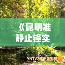 《昆明准静止锋实时监测:揭秘天气变幻的神秘面纱》