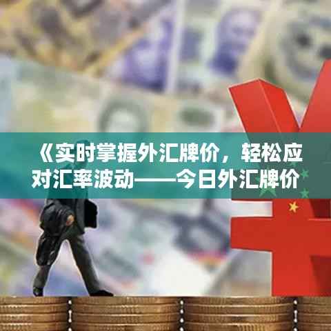《实时掌握外汇牌价,轻松应对汇率波动——今日外汇牌价查询指南》