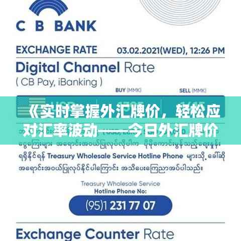 《实时掌握外汇牌价,轻松应对汇率波动——今日外汇牌价查询指南》