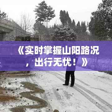 《实时掌握山阳路况,出行无忧!》