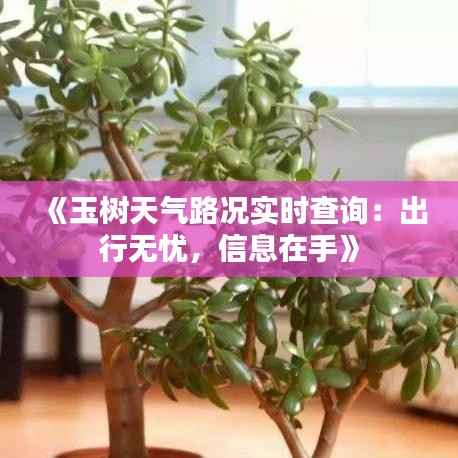 《玉树天气路况实时查询:出行无忧,信息在手》