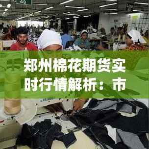 郑州棉花期货实时行情解析:市场动态与投资策略