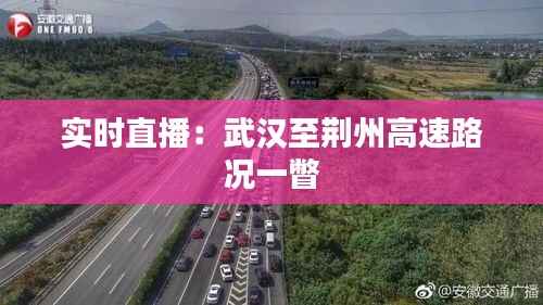 实时直播:武汉至荆州高速路况一瞥