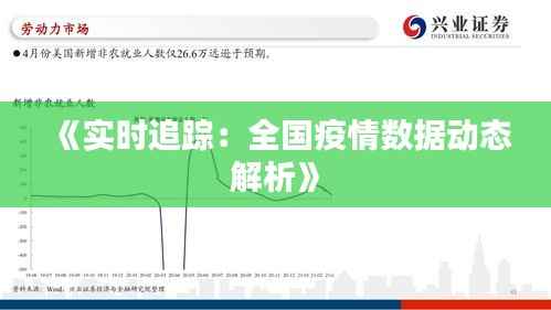 《实时追踪:全国疫情数据动态解析》
