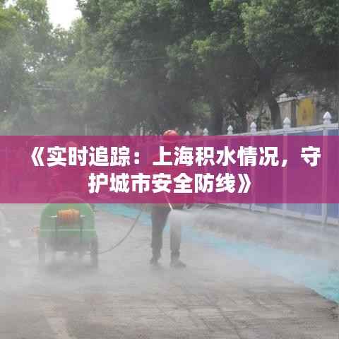 《实时追踪：上海积水情况，守护城市安全防线》