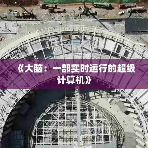《大脑:一部实时运行的超级计算机》