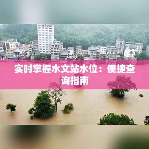 实时掌握水文站水位：便捷查询指南