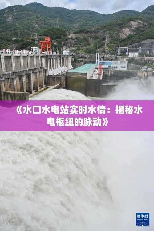 《水口水电站实时水情:揭秘水电枢纽的脉动》