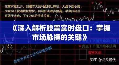 《深入解析股票实时盘口:掌握市场脉搏的关键》
